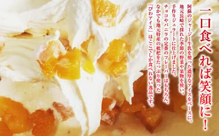 うずまきもなかアイス10個セット / 最中 アイス ジャージー牛乳 ジェラート チョコ バニラ 枇杷 イチゴ 抹茶 ラムレーズン クッキークリーム ブルーベリー マンゴー パイナップル シャーベット 冷凍 デザート 長崎