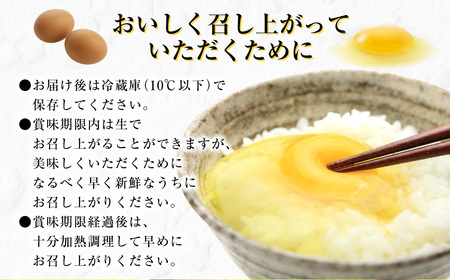 「長崎彩黄卵」 朝採れ玉子 30個入り 鶏卵 採れたて 新鮮卵 たまご タマゴ 冷蔵 長崎