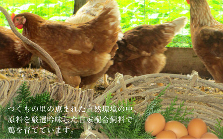 「長崎彩黄卵」 朝採れ玉子 30個入り 鶏卵 採れたて 新鮮卵 たまご タマゴ 冷蔵 長崎