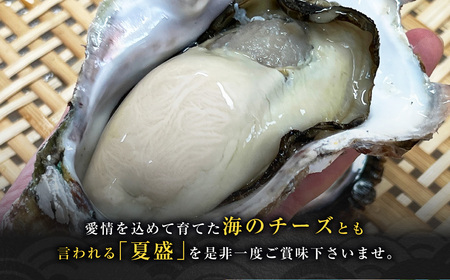 【先行予約 数量限定】長崎市産 岩牡蠣 「夏盛」NATSUZAKARI 約2.8kg(8個~13個程度) / 夏盛 なつざかり 生食 カキ 牡蠣 【2026年6月下旬~7月下旬発送予定】