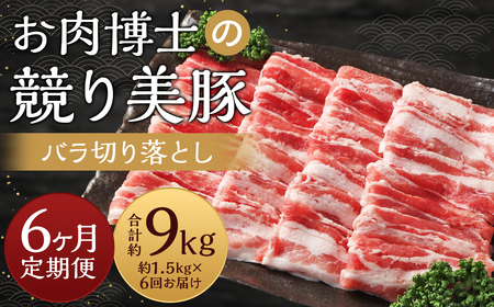 【全6回定期便】長崎県産「競り美豚」 バラ 切り落とし 1.5kg 計9kg (1.5kg×6回) ／ 競美豚 競り美豚 肉 お肉 豚肉 国産 豚バラ