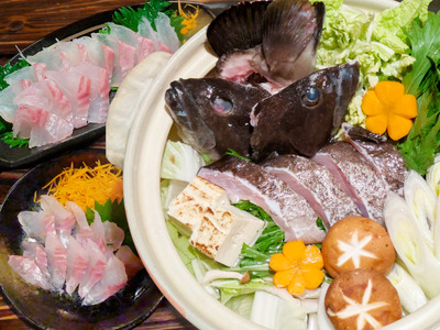 長崎の森で育てた『幻のクエ』【ハーフセット】 刺身用 2〜3人前・鍋用 2~3人前(1kg~2kg前後)/ 海鮮 魚介類 クエ 刺身 鍋 高級魚 長崎産