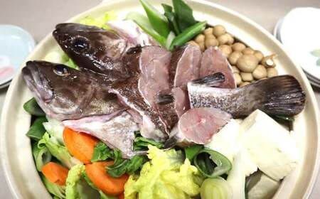 長崎の森で育てた『幻のクエ』【ハーフセット】 刺身用 2〜3人前・鍋用 2~3人前(1kg~2kg前後)/ 海鮮 魚介類 クエ 刺身 鍋 高級魚 長崎産