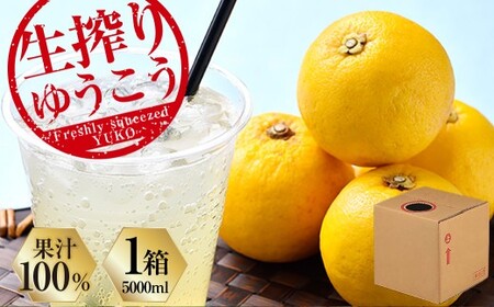 生搾りゆうこう果汁100％ ／ 飲料 調味料 果汁 ジュース 果物 フルーツ 柑橘
