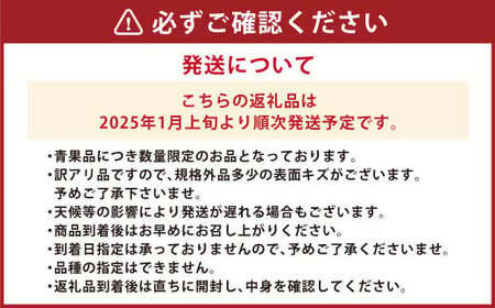 【1月上旬～2月下旬発送】訳あり 晩生完熟みかん10kg ( ご自宅用 ) ／  果物 くだもの フルーツ 柑橘 蜜柑 ミカン 晩生みかん 完熟 青果品 訳アリ ワケアリ わけあり 理由あり 国産 大将農園 長崎県 長崎市