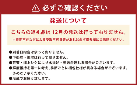 丸ごと1本！長崎近海 活き〆天然寒ヒラス (ヒラマサ) 5kg台 (5.2?5.8kg) ／ 魚 魚介 鮮魚 海鮮 天然 ヒラマサ ヒラス 刺身 大将農園 長崎県 長崎市