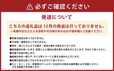 長崎漁港発！長崎近海産鮮魚お試しセット (ミニ) ／ 魚 魚介 鮮魚 海鮮 海産物 刺身 セット 地魚 詰め合わせ 詰合せ つめあわせ 大将農園 長崎県 長崎市