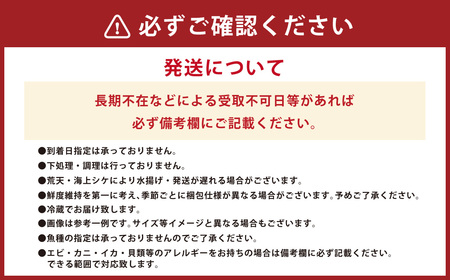 長崎漁港発！長崎近海産旬の鮮魚セット (中) ／ 魚 魚介 鮮魚 海鮮 海産物 刺身 セット 地魚 詰め合わせ 詰合せ つめあわせ 大将農園 長崎県 長崎市