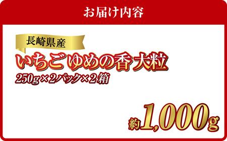 長崎県産いちご ゆめの香 大粒 約1kg（250g×2パック入×2箱）いちご 苺 イチゴ 冷蔵 果物 フルーツ 果実 【2024年11月下旬-2025年5月下旬発送予定】