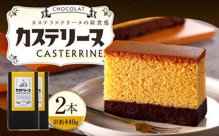 【14営業日以内発送】長崎カステリーヌ・ショコラ 2個 セット ／ 約220g × 2 スイーツ デザート カステラ おかし 菓子 おやつ チョコレート ショコラ テリーヌ ご当地スイーツ かすてら テリーヌ 長崎県 長崎市