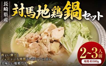 【7営業日以内発送】長崎県産 対馬地鶏 鍋セット（2～3人前） ／ モモ ムネ 白湯スープ ジューシー 惣菜 冷凍 長崎県産 国産 お肉 肉 地鶏 九州 長崎県 長崎市