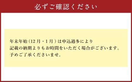 【長崎県知事賞】長崎鯨 (くじら) つけちゃんぽん×5人前 ／ チャンポン つけ麺 麺類 麺 スープ付 鯨 クジラ 佐藤製麺所 長崎県 長崎市