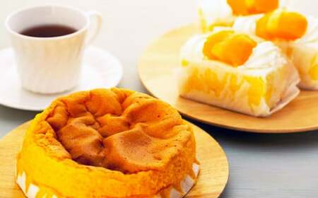 【長崎ご当地スィーツ】 シースクリーム と 半熟カステラ詰合せ デザート スイーツ 生カステラ