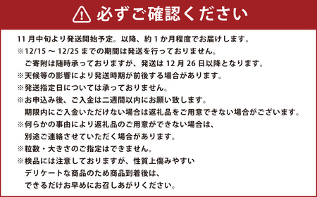 長崎県産いちご ゆめの香 約1kg (250g×4パック) ／ 果物 くだもの フルーツ イチゴ 苺 長崎県 長崎市 【2024年11月下旬-2025年5月下旬発送予定】