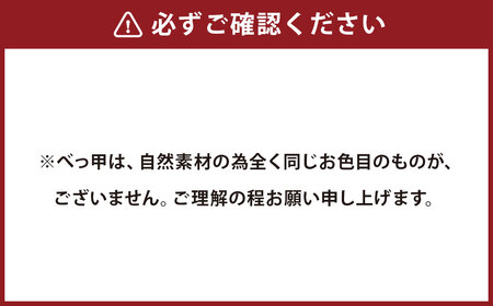 【7営業日以内発送】【数量限定】本べっ甲アイスクリームスプーンセット ／ 食器 カトラリー 鼈甲 べっこう べっ甲 スプーン 長崎県 長崎市