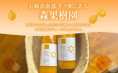 【7営業日以内発送】濃厚 びわネクター 720ml×2本 ／ 飲料 ジュース びわ ビワ 枇杷 フルーツ ネクター 長崎県 長崎市