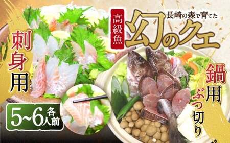 長崎の森で育てた『幻のクエ』 【セット】刺身用 5~6人前、鍋用 5~6人前(1kg~2kg前後×2)/ 計2kg~4kg前後 海鮮 魚介 高級魚 刺身 鍋 セット クエ 養殖 長崎県 長崎市