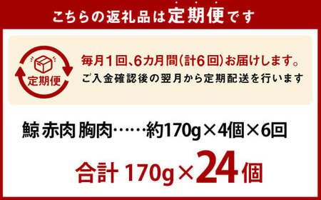 【全6回定期便】 鯨 赤肉 胸肉 170g×4個セット ／ 鯨 くじら クジラ 鯨肉 鯨文化 くじら文化 イワシ鯨 厳選 長崎県 長崎市