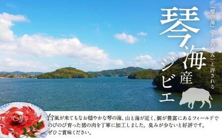 【7営業日以内発送】猪肉 切り落とし 200g×3 / 猪 イノシシ いのしし ジビエ 細切れ 長崎県 長崎市 【7営業日以内発送】猪肉 切り落とし 200g×3 / 猪 イノシシ いのしし ジビエ 細切れ 長崎県 長崎市