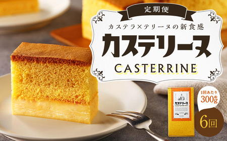 【全6回定期便】長崎カステリーヌ 1本 ／ タナカヤ カステラ かすてら スイーツ デザート お菓子 菓子 長崎県 長崎市