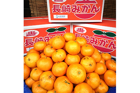 【2632-0108】長崎県産 訳あり 伊木力系温州みかん 10kg