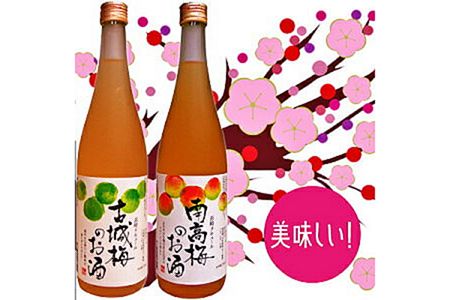 【2632-0118】長崎梅酒のみくらべ/南高梅酒・古城梅酒720mlふるさと納税