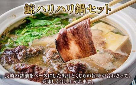 【7営業日以内発送】長崎鯨ハリハリ鍋セット 鯨 くじら クジラ 鯨肉 ひげ鯨 海鮮 鯨文化 伝統 珍味 鍋 セット 背肉 白身 シロミ ブロック さえずり スライス 冷凍 長崎県 長崎市