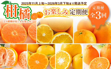 【全3回定期便】春冬限定 柑橘 お楽しみ定期便 みかん ポンカン 不知火等 ／ 早生みかん 中生みかん 甘夏 八朔 伊予柑 果物 フルーツ 長崎 九州 定期便 【2025年11月上旬～2026年3月下旬迄発送予定】
