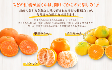 【全3回定期便】春冬限定 柑橘 お楽しみ定期便 みかん ポンカン 不知火等 ／ 早生みかん 中生みかん 甘夏 八朔 伊予柑 果物 フルーツ 長崎 九州 定期便 【2025年11月上旬～2026年3月下旬迄発送予定】