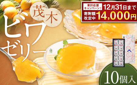 【期間限定！～12月31日まで寄附額改定】【14営業日以内発送】茂木ビワゼリー10個 ／ ゼリー ぜりー フルーツゼリー 果実ゼリー びわ ビワ 枇杷 スイーツ デザート 長崎県産 長崎県 長崎市
