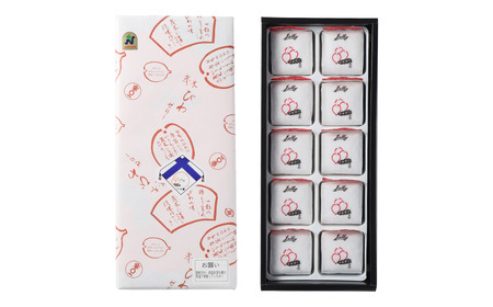 【期間限定！～12月31日まで寄附額改定】【14営業日以内発送】茂木ビワゼリー10個 ／ ゼリー ぜりー フルーツゼリー 果実ゼリー びわ ビワ 枇杷 スイーツ デザート 長崎県産 長崎県 長崎市