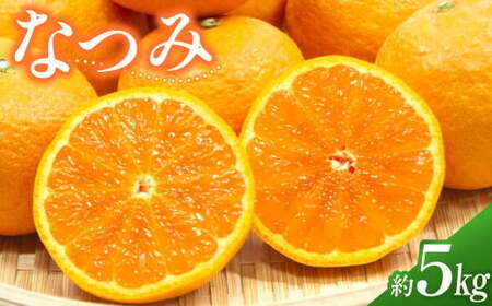 希少品種 なつみ 約5kg【数量限定】 みかん ミカン 蜜柑 果物 フルーツ 南津海 甘み 濃厚【2026年4月上旬～5月下旬発送予定】