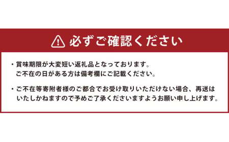 不知火（しらぬい）約2kg みかん ミカン 蜜柑 果物 フルーツ 不知火  【2025年3月下旬-4月下旬発送予定】