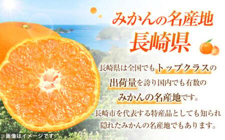 温州みかん 約3kg  柑橘 みかん 蜜柑  果物 くだもの フルーツ 果実 デザート 【2024年12月上旬-2025年1月下旬発送予定】