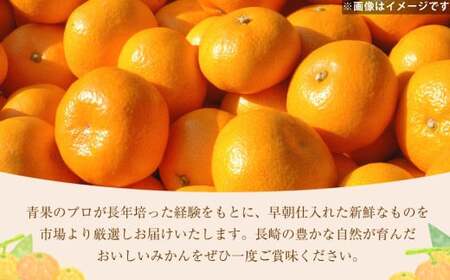 温州みかん 約3kg  柑橘 みかん 蜜柑  果物 くだもの フルーツ 果実 デザート 【2024年12月上旬-2025年1月下旬発送予定】