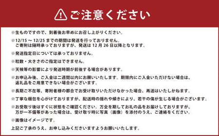 【贈答用】いちご ゆめの香 計30粒（15粒×2パック）化粧箱入 ／ イチゴ 苺 フルーツ 果物 くだもの わたる農園 長崎県 長崎市 【2024年11月下旬～2025年5月下旬発送予定】