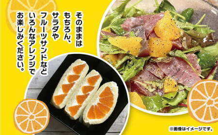 こだわり農家の 秀品 不知火 18玉  蜜柑 みかん ミカン 果物 フルーツ ギフト 贈り物 プレゼント 柑橘 くだもの 【2026年4月上旬より発送開始予定】