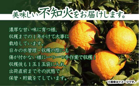 こだわり農家の 秀品 不知火 18玉  蜜柑 みかん ミカン 果物 フルーツ ギフト 贈り物 プレゼント 柑橘 くだもの 【2026年4月上旬より発送開始予定】