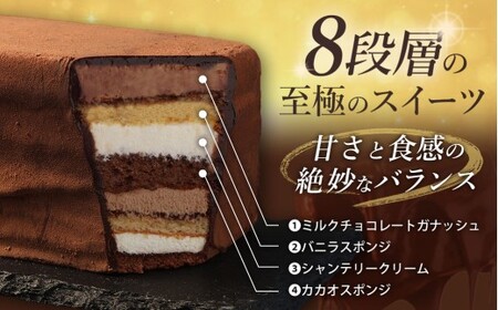 【全6回定期便】 長崎石畳ショコラ ハーフサイズ2個 ／ 合計12個 ケーキ スイーツ ご当地スイーツ グルメ チョコ チョコレート グルメ