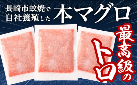 【ふるなびWEEK対象】本マグロ 大賞受賞 みやび鮪 たたき 計約600g (約6～7人前) ／ 鮪 まぐろ マグロ 刺し身 刺身 本まぐろ 本鮪 冷凍 魚 魚介 タタキ まぐろタタキ 海鮮丼 おすすめ 長崎市 FN-Limited-PR