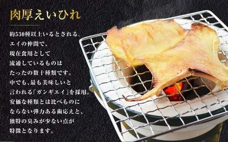 【全6回定期便】出島屋の肉厚えいひれ 3袋セット （130g） ／ えい エイヒレ おつまみ 珍味 乾物 干物 長崎県 長崎市