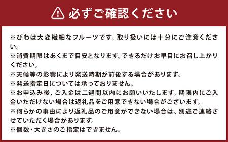 【数量限定】 長崎びわ 麗月 計約2kg  ／ びわ 枇杷 ビワ 果物 くだもの フルーツ 長崎県 長崎市