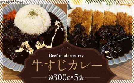 牛すじカレー 冷凍 パック 約300g×5袋 計1500g ／ スパイス 牛すじ 5人前 冷凍 パック ピリ辛 牛筋 カレー レトルト