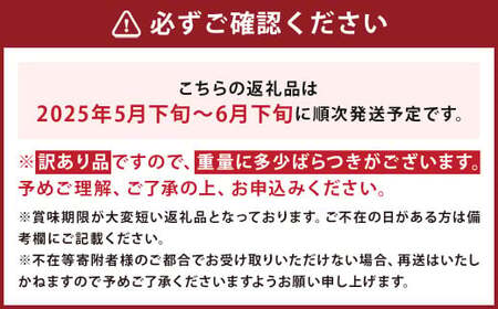 【訳あり】 選果落ち 加工用 露地びわ 約1.8kg ／ ジャム用 コンポート用 びわ ビワ ご家庭用 初夏 国産 長崎市産 長崎県産 九州産 【2025年5月下旬-2025年6月下旬迄発送予定】