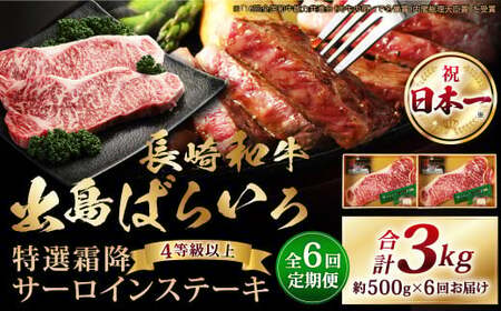 【全6回定期便】長崎和牛「出島ばらいろ」特選霜降 サーロインステーキたっぷり500g ／国産 A4等級以上 和牛 牛肉 お肉 ステーキソース 塩コショウ付き 冷凍 長崎