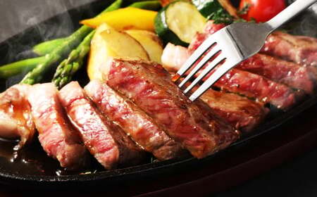 【全12回定期便】長崎和牛「出島ばらいろ」特選霜降 サーロインステーキたっぷり500g ／ 国産 A4等級以上 和牛 牛肉 お肉 ステーキソース 塩コショウ付き 冷凍 長崎