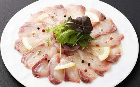 【指定日必須】 黄金ひらまさ ( 養殖ひらまさ・1尾 約4kg～5kg ) ／ ヒラス 平政 お刺身 刺し身 刺身 お魚 魚 鮮魚 魚介類 養殖 冷蔵 長崎県 長崎市