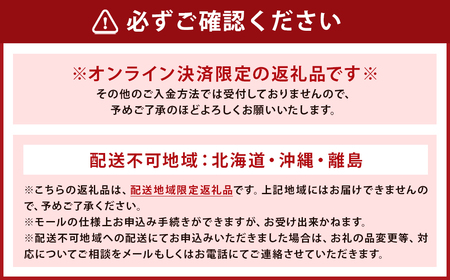 【指定日必須】 黄金ひらまさ ( 養殖ひらまさ・1尾 約4kg～5kg ) ／ ヒラス 平政 お刺身 刺し身 刺身 お魚 魚 鮮魚 魚介類 養殖 冷蔵 長崎県 長崎市