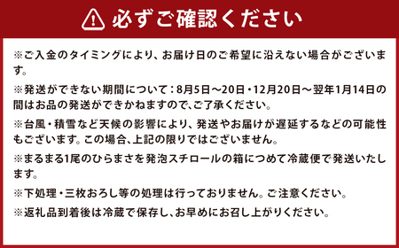 【指定日必須】 黄金ひらまさ ( 養殖ひらまさ・1尾 約4kg～5kg ) ／ ヒラス 平政 お刺身 刺し身 刺身 お魚 魚 鮮魚 魚介類 養殖 冷蔵 長崎県 長崎市