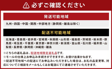 【指定日必須】 長崎の海で獲れた『天然伊勢海老』 約500g ／ 魚 魚介類 天然 伊勢海老 伊勢エビ イセエビ 海老 お刺身 湯引き 冷蔵  【2025年9月13日～10月14日迄発送予定】 